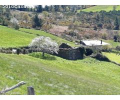 Terreno urbanizable en Venta en Grandas de Salime, Asturias
