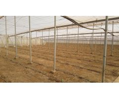 Se vende finca de 6 Has. de terreno