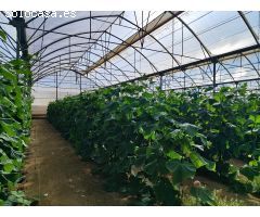 TERRENO DE 14.500 M2 EN ECOLOGICO