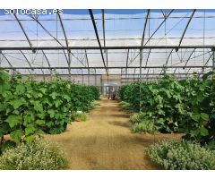 TERRENO DE 14.500 M2 EN ECOLOGICO