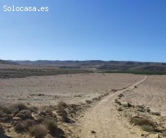 Se venden 60.000 m2 de terreno