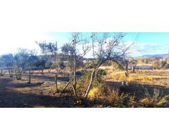 VIVIENDA CON TERRENO EN KM. 21