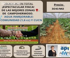 FINCA DE 28.000 M2 EN TOTAL
