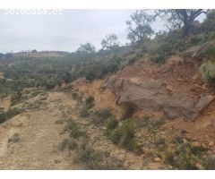 CORTIJO EN FELIX