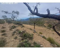 CORTIJO EN FELIX