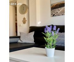 Apartamento de una habitación con terraza a un paso de la playa, zona Can Pastilla.