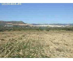 FINCA RUSTICA POSIBILIDAD REGADIO - VILLAR ARZOBISPO