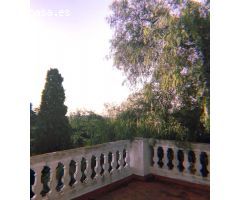 INTERESANTE MASIA CON PRODUCCION DE NARANJOS ACTIVA