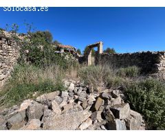 FINCA RÚSTICA CON  23.000 M2 CON CULTIVO DE OLIVOS Y ALMENDROS