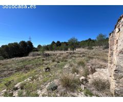 FINCA RÚSTICA CON  23.000 M2 CON CULTIVO DE OLIVOS Y ALMENDROS