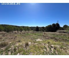 FINCA RÚSTICA CON  23.000 M2 CON CULTIVO DE OLIVOS Y ALMENDROS