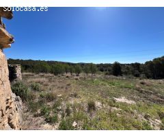 FINCA RÚSTICA CON  23.000 M2 CON CULTIVO DE OLIVOS Y ALMENDROS