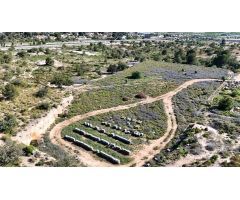 TERRENO RUSTICO CON ACCIONES DE AGUA