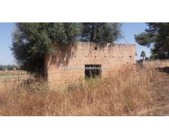 Rustica con casita a reformar en zona de facil acceso