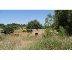 Rustica con casita a reformar en zona de facil acceso