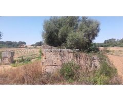 Rustica con casita a reformar en zona de facil acceso