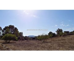 Finca rustica con pozo y posibilidad de luz