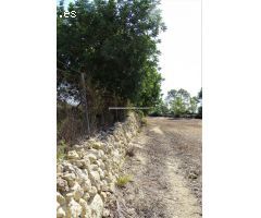 Finca rustica con pozo y posibilidad de luz