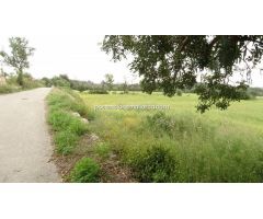 Finca rustica no edificable