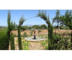 Casa con vistas a Cura y Sierra de tramuntana con Pozo propio y Cedula de habitabilidad