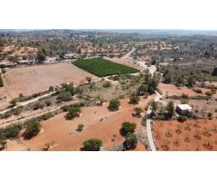 TERRENO EN VENTA EN CHESTE