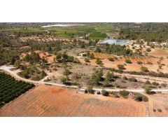 TERRENO EN VENTA EN CHESTE