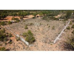 TERRENO EN VENTA EN CHESTE