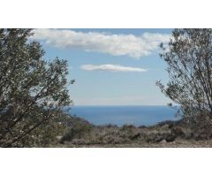 Finca rustica en Venta en Relleu, Alicante