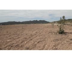 Finca rustica en Venta en Relleu, Alicante