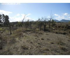 Finca rustica en Venta en Castalla, Alicante