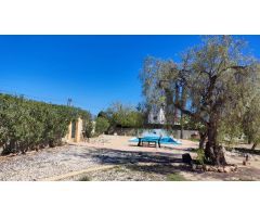 Casa de campo en Alquiler en San Vicente del Raspeig, Alicante