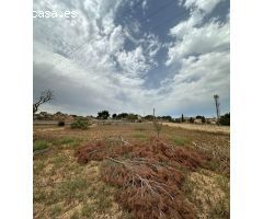 TERRENO AGRÍCOLA CON CASA DE CAMPO PARA REFORMAR EN ARENAL, CERCA DE PALMA