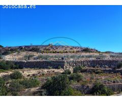 Venta de Parcela Rústica en El Campello, Alicante – Oportunidad de Construcción y Agricultura