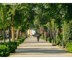 Aquí está tu nuevo hogar en el corazón de Coria del Río