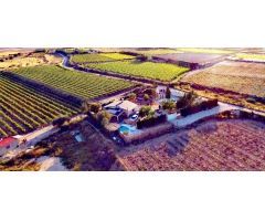 Casa independiente a la venta en Agost con piscina independiente