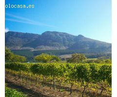 Espectacular Bodega con su propia Historia.