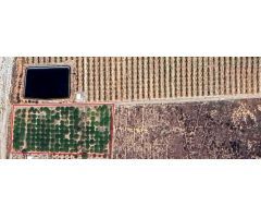 ???? Terreno Rústico de Uso Agrario – Ideal para Cítricos ????