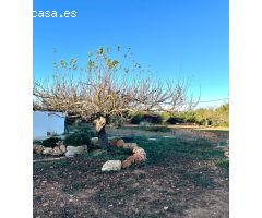Finca Rústica en Porreres: Tu Paraíso Rural en Mallorca
