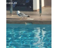 Adosado en Venta en San Pedro del Pinatar, Murcia