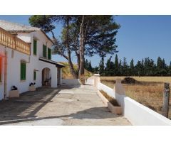 FINCA RUSTICA EN BINISSALEM
