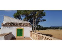 FINCA RUSTICA EN BINISSALEM