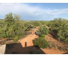 Terreno rural en Venta en Vinaròs, Castellón