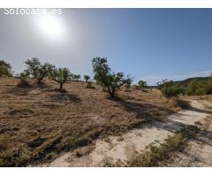 Terreno urbano en Venta en Alhama de Granada, Granada