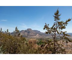 Chalet rural con casi 5000 metros de parcela