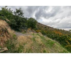 OPORTUNIDAD UNICA EN GUEJAR SIERRA!!!!