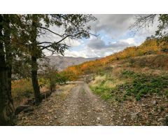 OPORTUNIDAD UNICA EN GUEJAR SIERRA!!!!