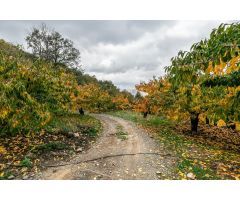 OPORTUNIDAD UNICA EN GUEJAR SIERRA!!!!