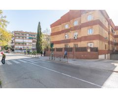BONITO PISO JUNTO PASEO DE LOS BASILIOS- CENTRO CIUDAD