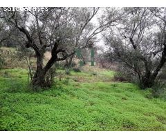 Terreno Rural en Zona Risco - Sierra de Fuentes