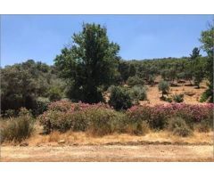 Parcela en Venta en Almadén de la Plata, Sevilla